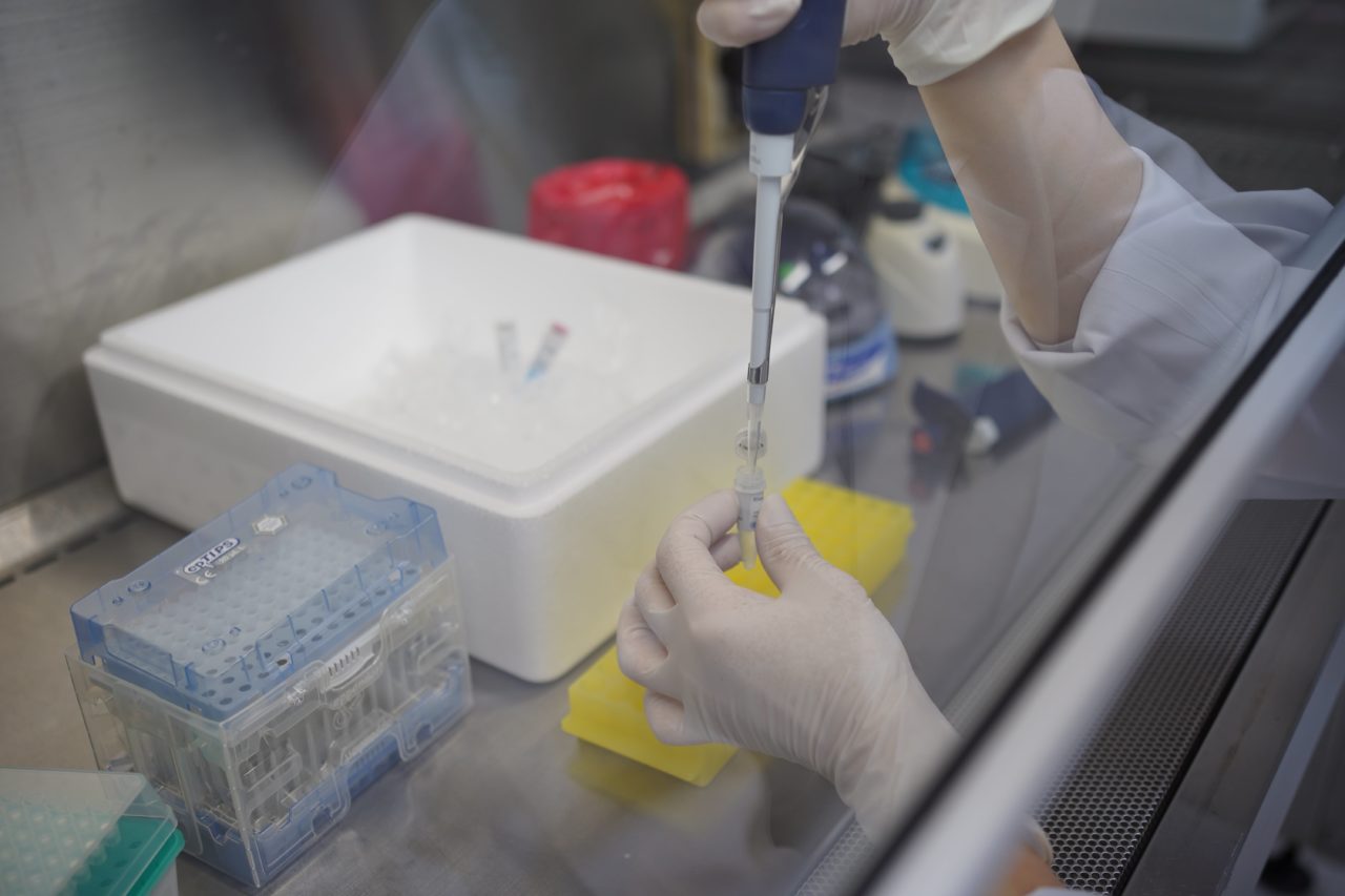 >PCR test for international travel